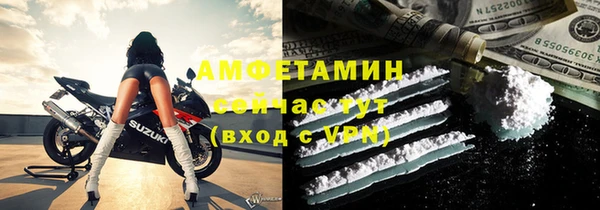 прущие грибы Аркадак