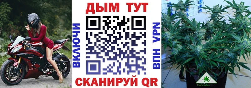 Купить Апрелевка Конопля Ganja